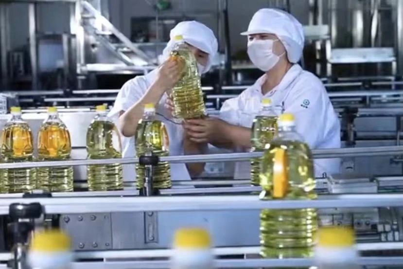 凯时游戏·(中国)集团