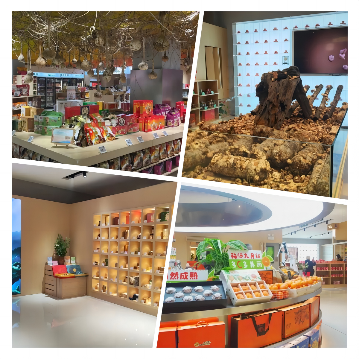 凯时游戏·(中国)集团