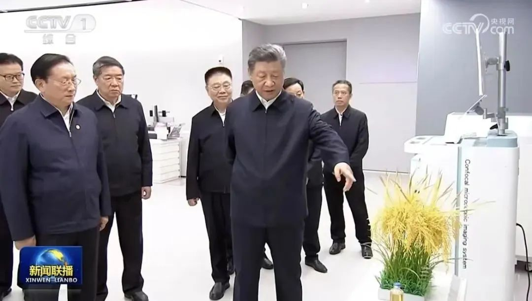 凯时游戏·(中国)集团