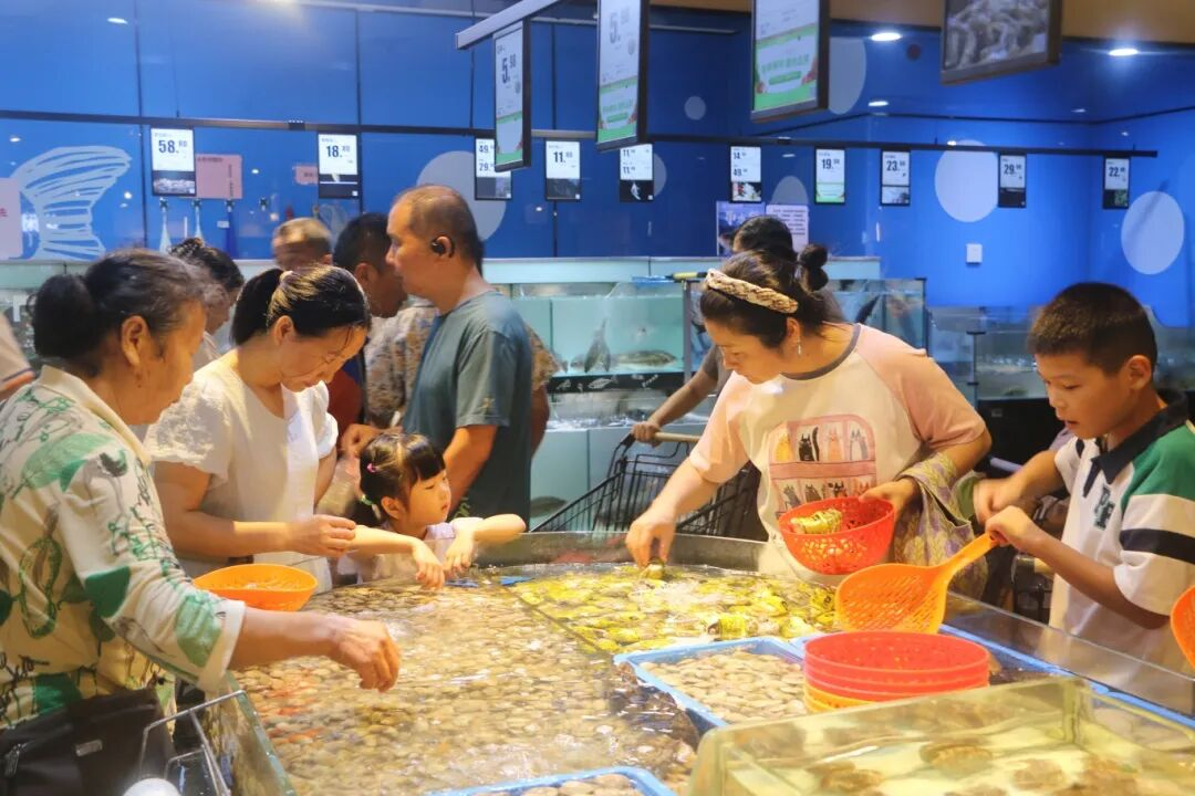 凯时游戏·(中国)集团